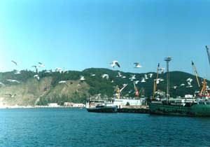 Туапсинский морской порт